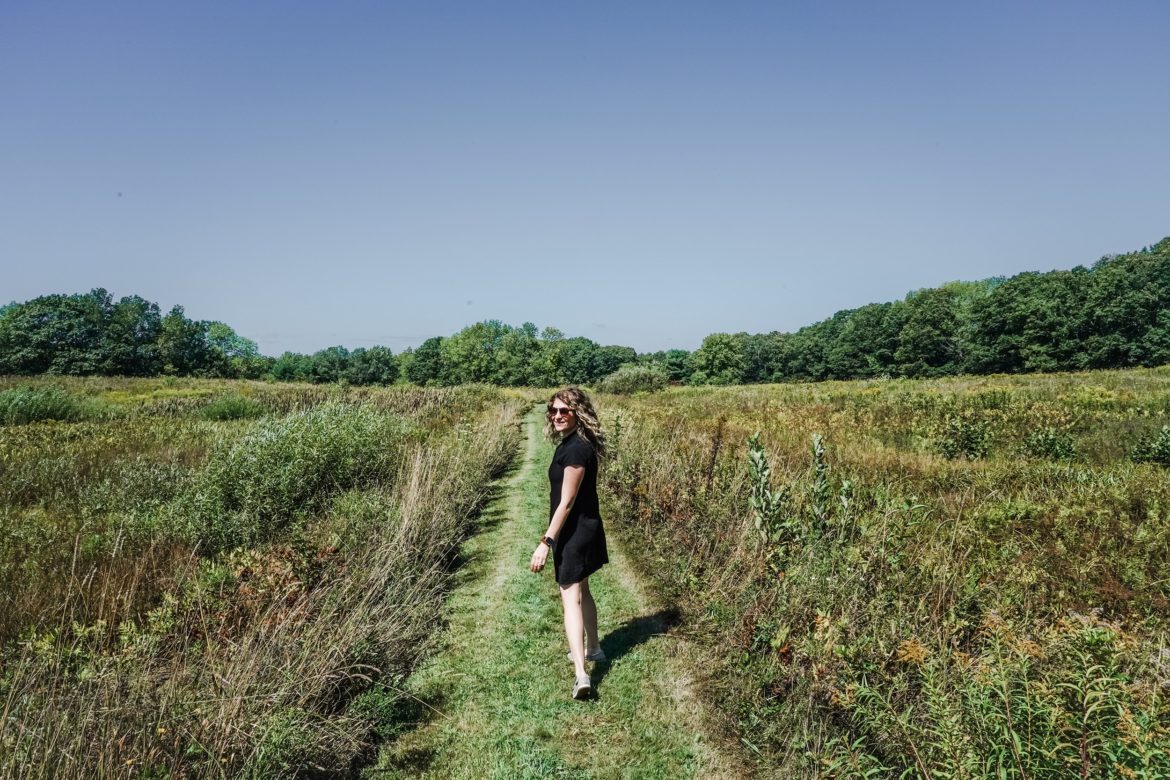 easy ways to go green field picture